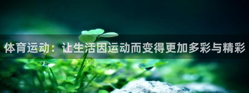 杏悦2平台招商