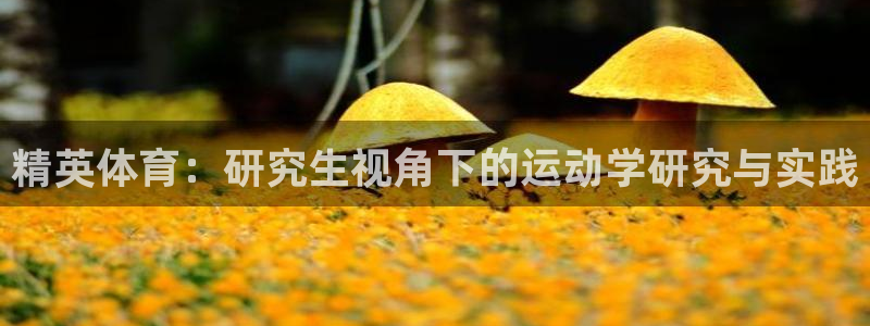 杏悦2零能源集团