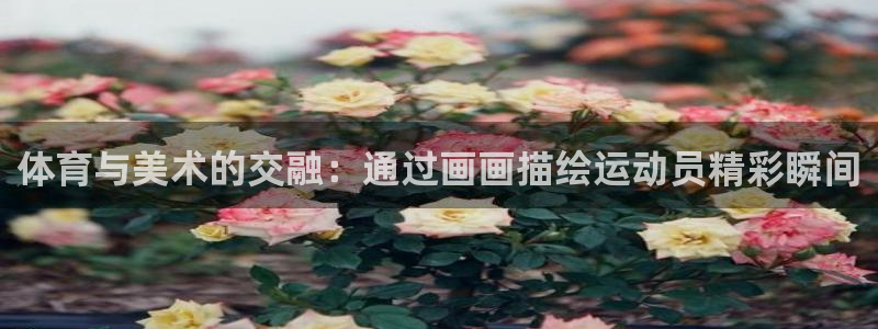 杏悦2主管球27337