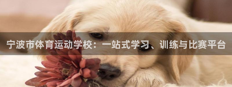 杏悦2平台注册开户