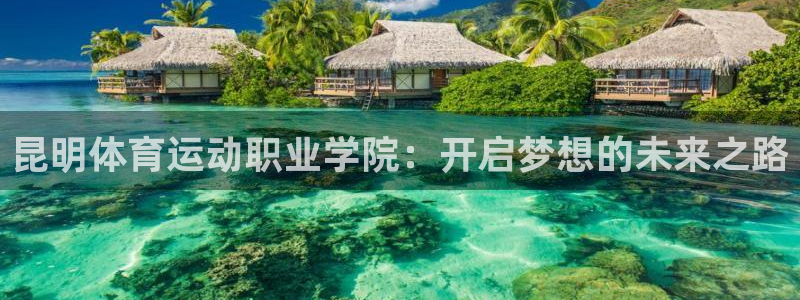 杏悦22代理注册