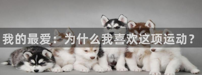 杏悦2平台主管
