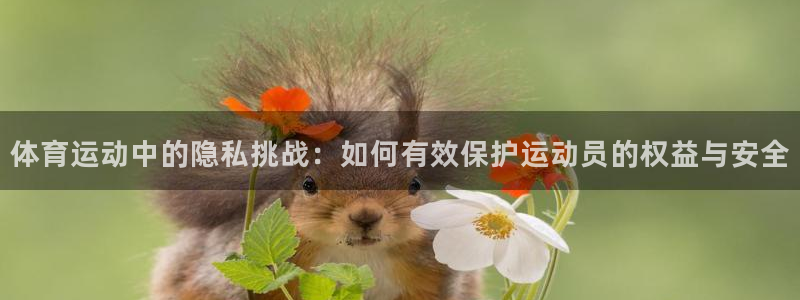 杏悦2体育凯捷平台招商