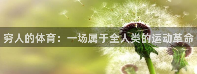 杏悦2体育网页版入口