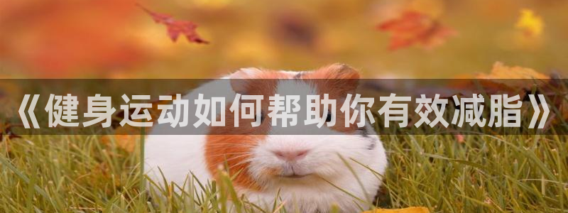 杏悦2平台官网