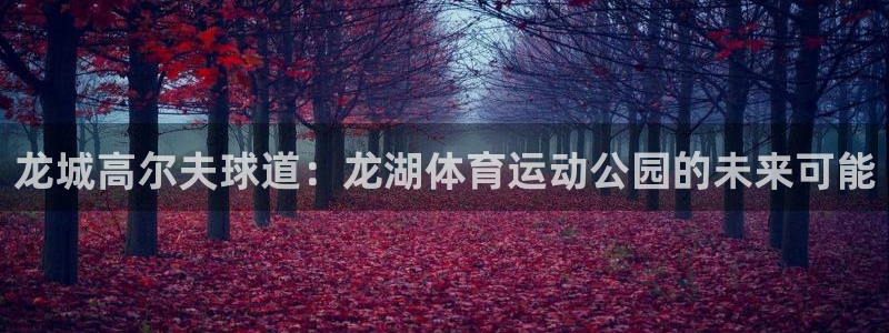 杏悦2体育用品