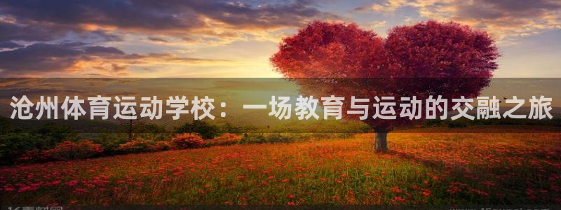 杏悦24