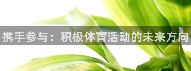 上海杏悦2汽车电子有限公司
