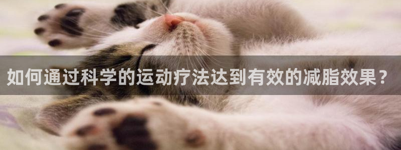 杏悦24开户