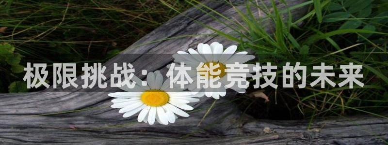 杏悦23平台注册