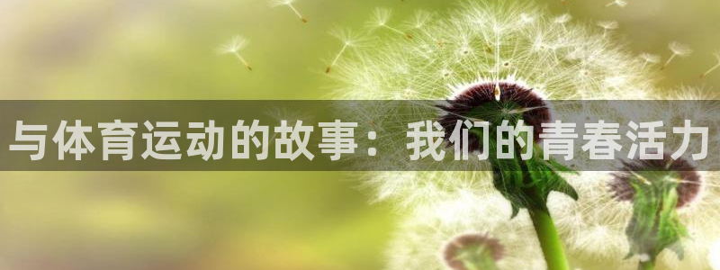 杏悦2平台总代理
