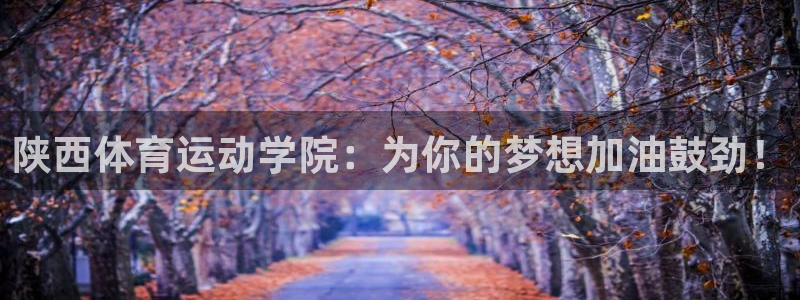 杏悦22平台