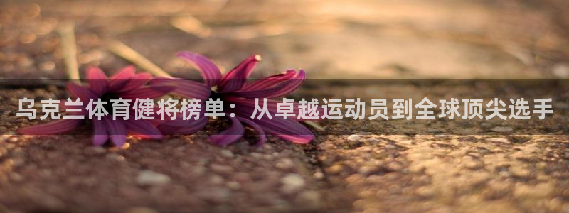 德国杏悦2集团