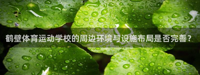 杏悦23登录