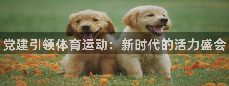 杏悦2体育注册登录入口