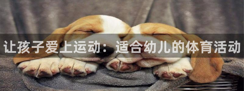 杏悦2凯捷开号链接