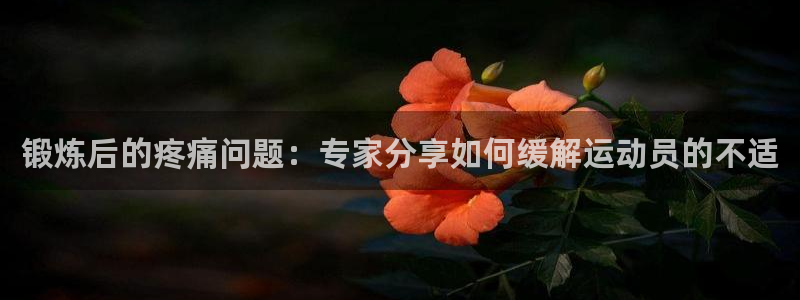 杏悦2注册