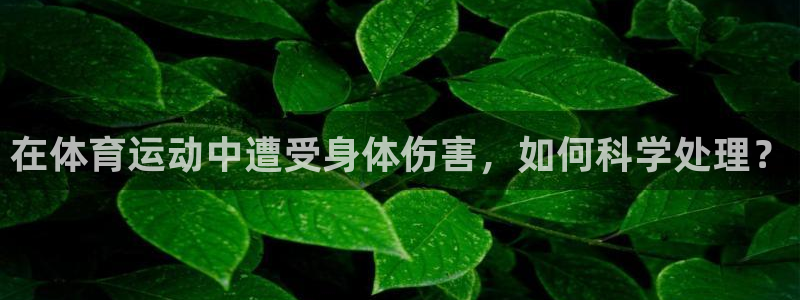 杏悦2体育4