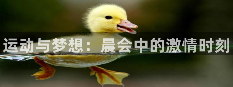 杏悦2平台