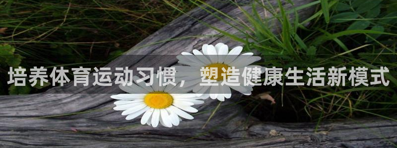 杏悦2体育平台总代理
