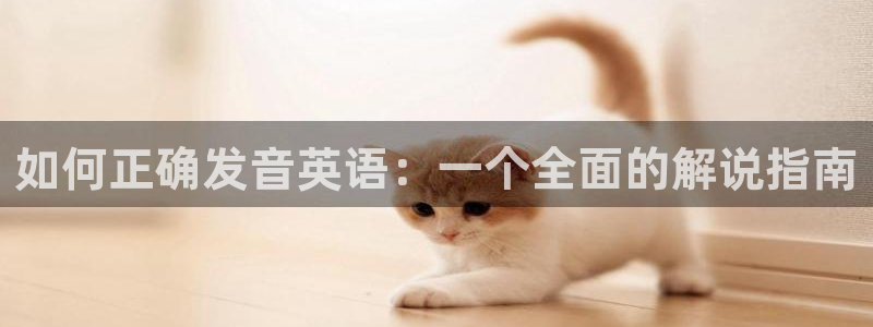 杏悦2体育和杏耀是哪个公司的