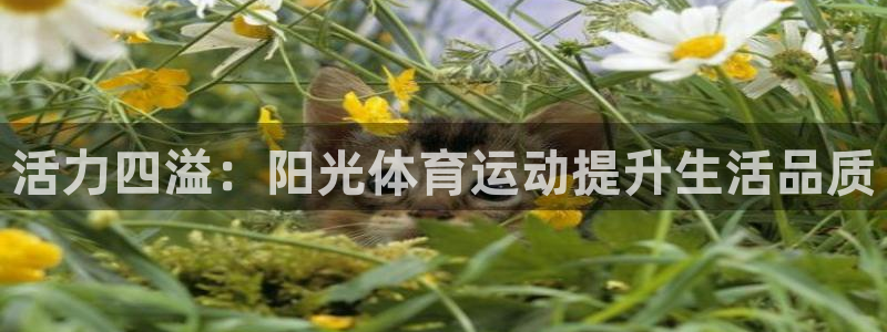 杏悦2代理注册
