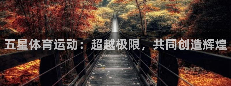 杏悦2股份