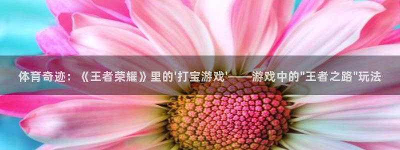 杏悦2体育官网登录