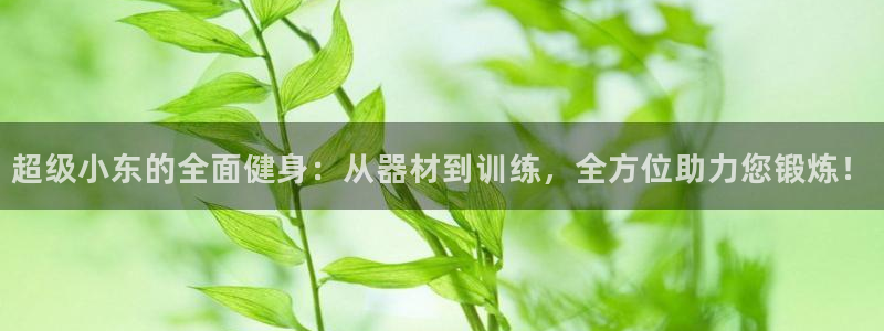 杏悦2体育凯捷平台主管