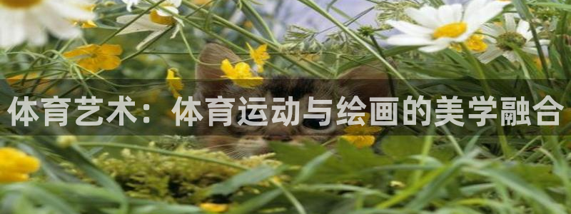 杏悦22平台注册
