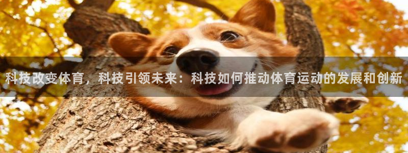 杏悦2体育官网