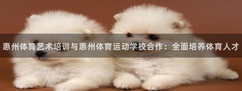 杏悦25