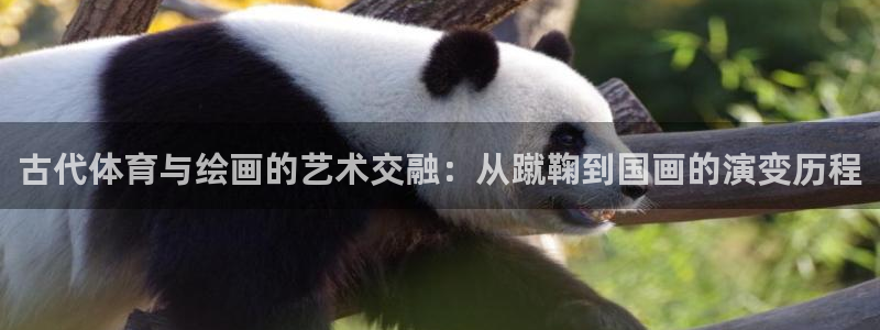 杏悦2体育官网登录