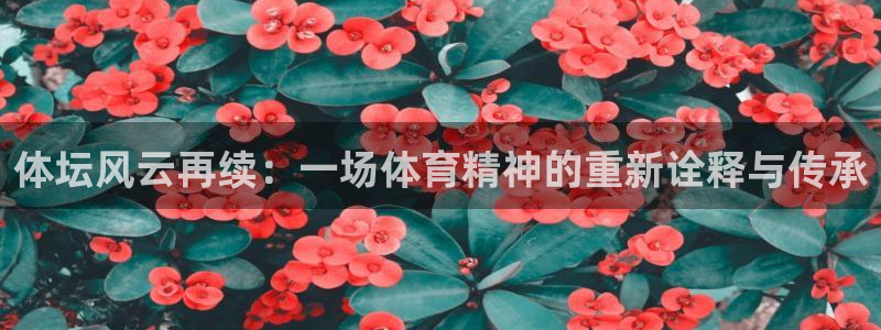 佛山市南海杏悦2机电仪器有限公司