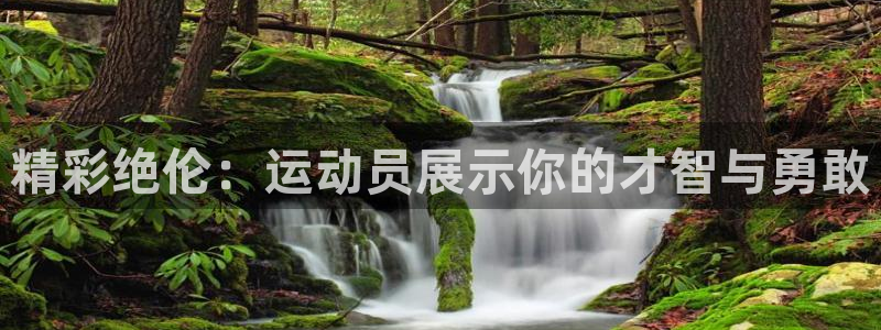 德国杏悦2集团