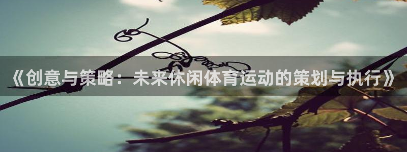 杏悦2平台招商