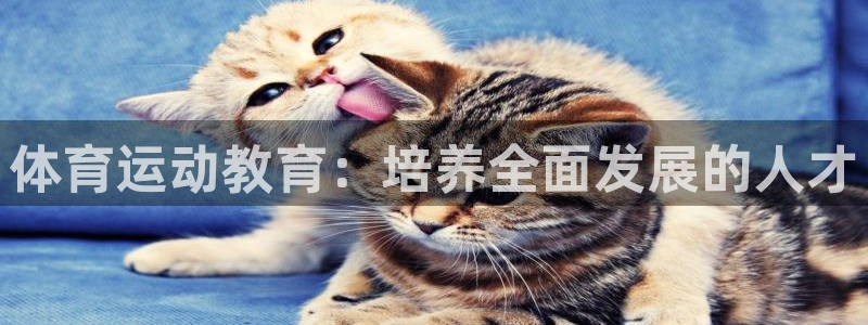 杏悦23